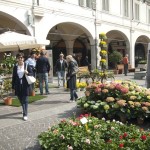 serra cielo aperto brixia florum 14 aprile