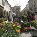 serra cielo aperto brixia florum 14 aprile