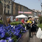 serra cielo aperto brixia florum 14 aprile