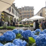 serra cielo aperto brixia florum 14 aprile