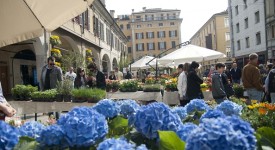 serra cielo aperto brixia florum 14 aprile