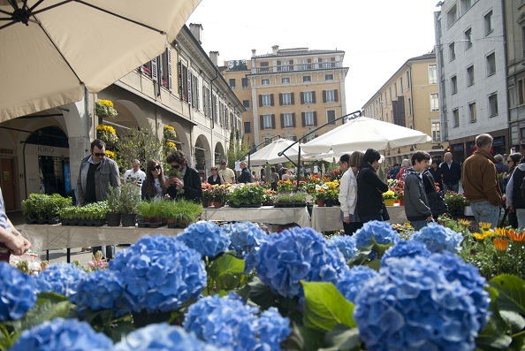 serra cielo aperto brixia florum 14 aprile