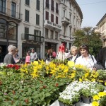 serra cielo aperto brixia florum 14 aprile