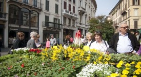 serra cielo aperto brixia florum 14 aprile