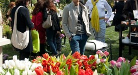 serra cielo aperto brixia florum 14 aprile