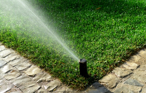 Impianti di irrigazione fai da te, ecco i più semplici