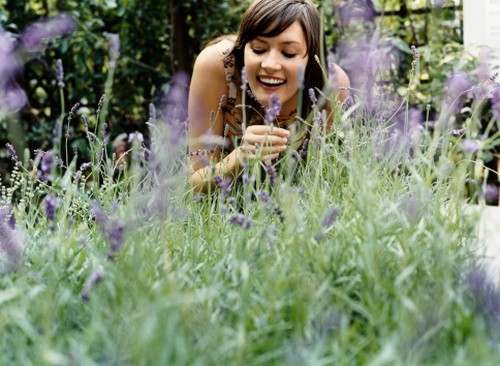 aromaterapia lavanda