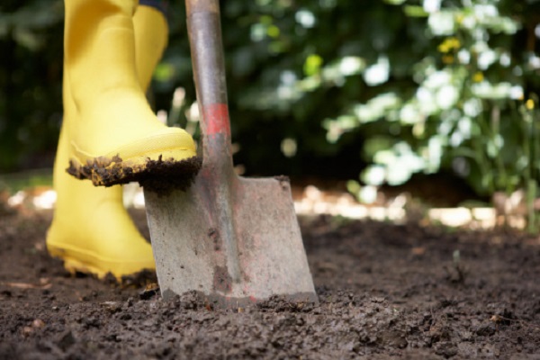 Preparazione del terreno