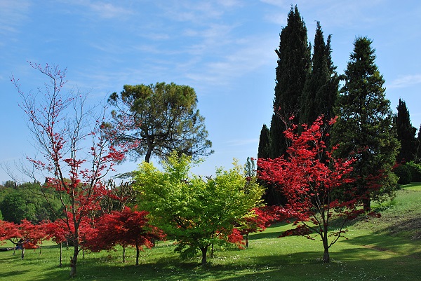 Parco Giardino Sigurtà