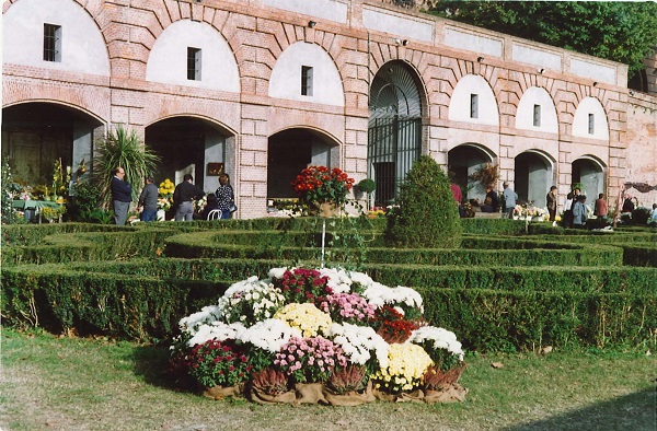 fiori inverno giardino rose castello moncalieri