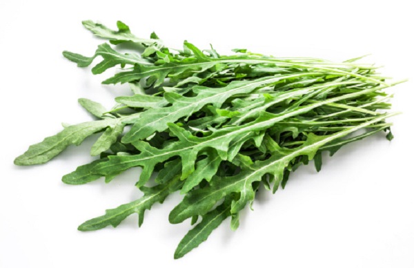 rucola