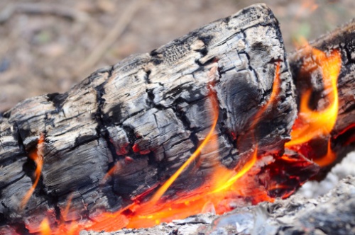 cenere di legna fertilizzante