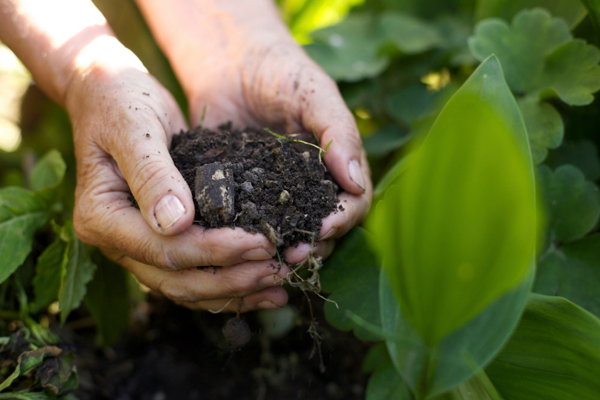 fertilizzanti naturali