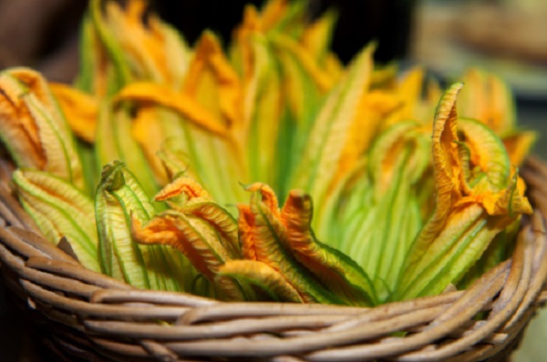 significato fiori di zucca