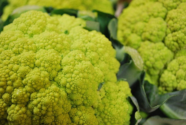 cosa seminare maggio broccoli