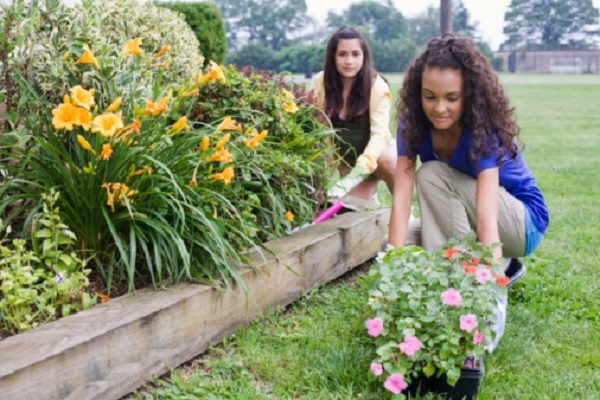 guerrilla gardening cosa accadrà raduno