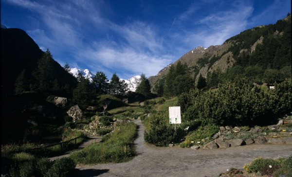  Parco Nazionale del Gran Paradiso, incontri e visite tematiche nel giardino botanico alpino Paradisia
