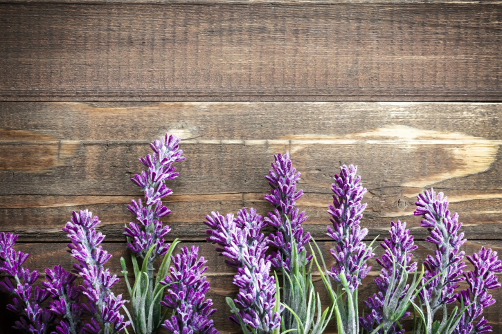 Lavanda