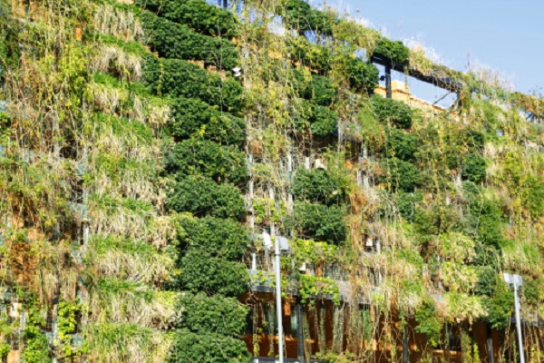 Giardini verticali: soluzione a tetto e a parete