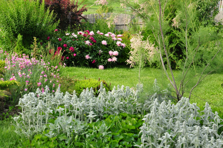 Lavori in giardino mese di novembre