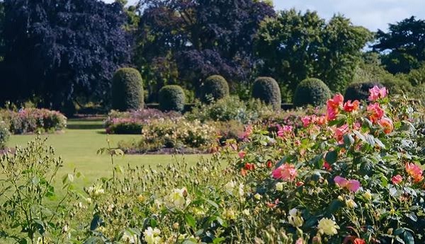 Kew Gardens, i giardini botanici inglesi