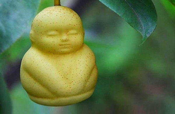 frutta budda