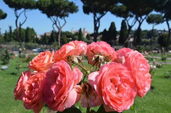 giardini roma