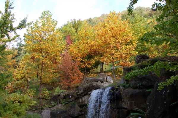 Dettaglio-Giardini-di-Sissi-in-autunno