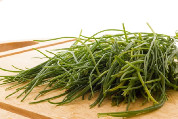 agretti o barba di frate