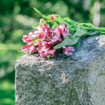 4 fiori commemorazione defunti