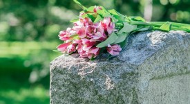 4 fiori commemorazione defunti