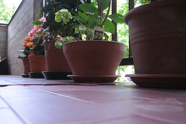 Sistemare le piante sul balcone