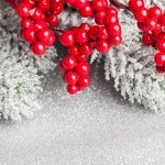 3 motivi usare agrifoglio natale