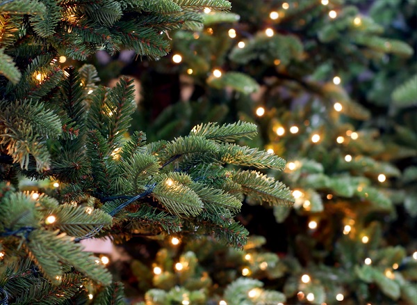 Conservare l'Albero di Natale dopo le feste