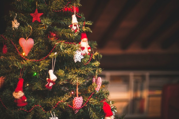 Albero Di Natale Petrolio.L Albero Di Natale Vero E L Unico Abete Ecologico Pollicegreen