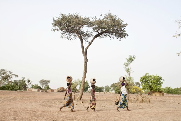 WeForest, piantate 13mila alberi nel deserto del Burkina Faso.