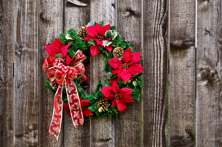 Decorazione Stella Di Natale.Consigli Per Decorare Una Stella Di Natale Pollicegreen