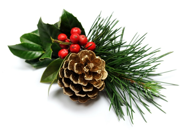 Agrifoglio Decorazioni Natalizie.Creare Segnaposto Di Natale Con L Agrifoglio Pollicegreen