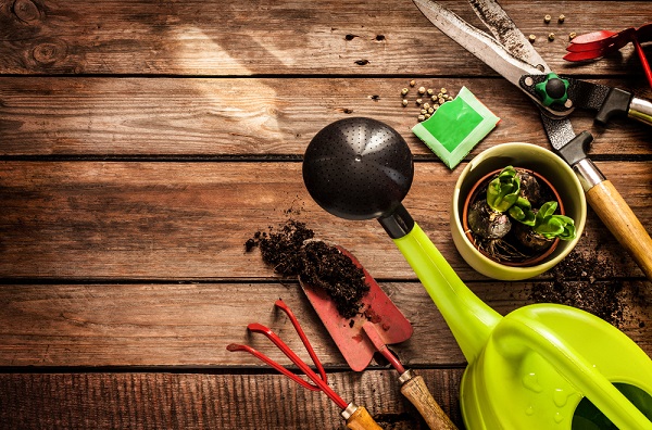 cosa fare giardino gennaio