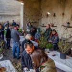 corso potatura rose castello quistini foto