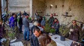 corso potatura rose castello quistini foto
