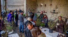 corso potatura rose castello quistini foto