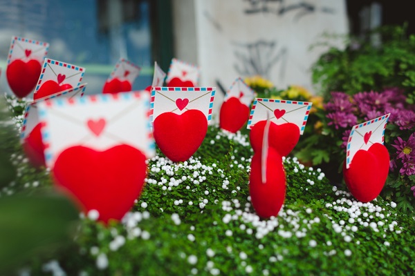 3 modi per decorare le piante a San Valentino