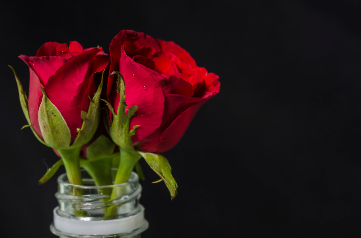 Consigli per scegliere il fiore giusto per San Valentino