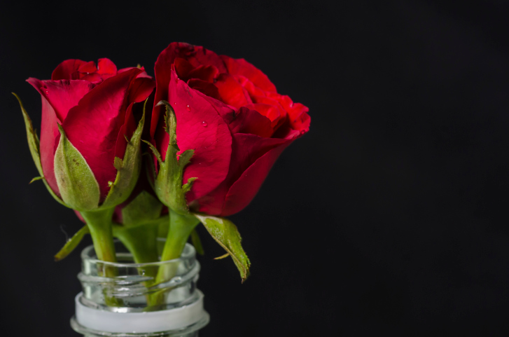 fiore giusto per San Valentino