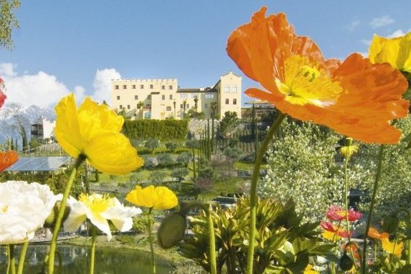 Primavera nei giardini di Sissi a Merano