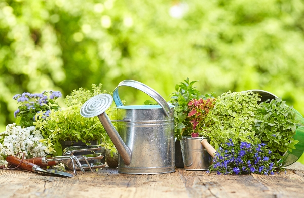 lavori primavera