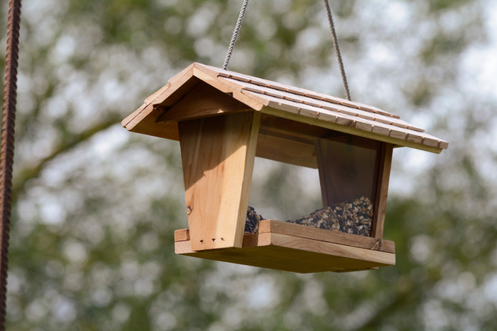 Creare una casa per uccelli fai da te