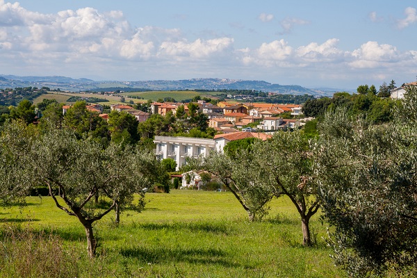 xylella meno fitofarmaci puglia