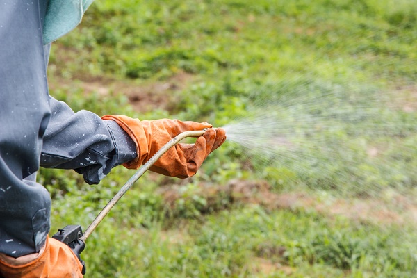 4 tipi diserbante naturali